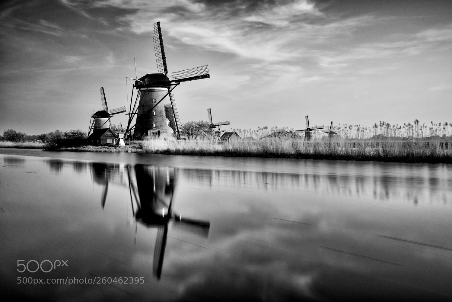 Nikon D810 sample photo. Moulins pays bas photography