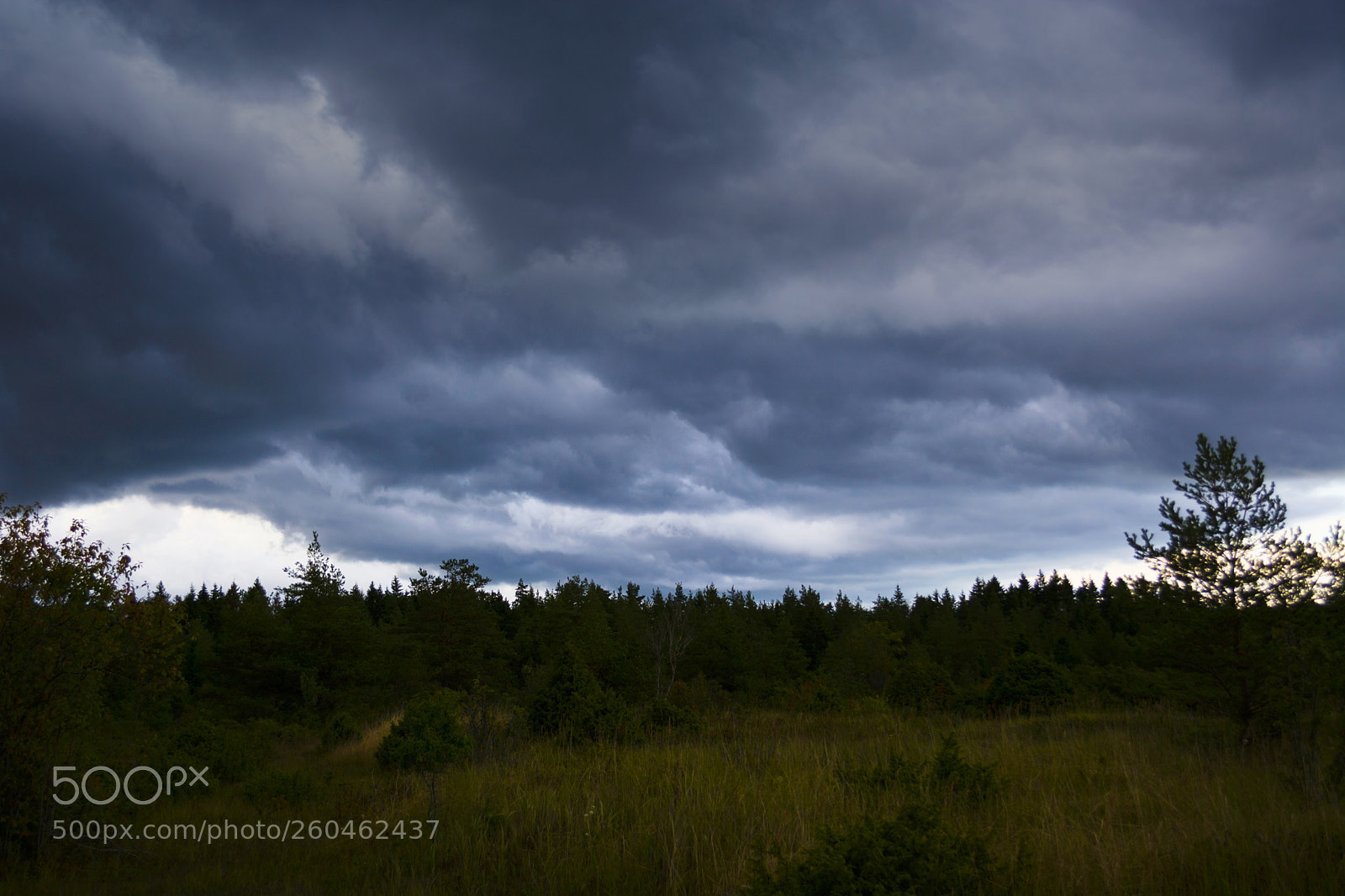 Nikon D5200 sample photo. Summer storm photography