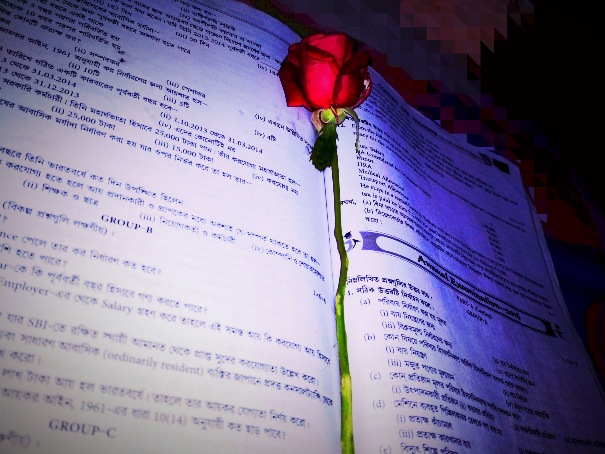 Xiaomi Redmi 4 Pro sample photo. Rose book photography