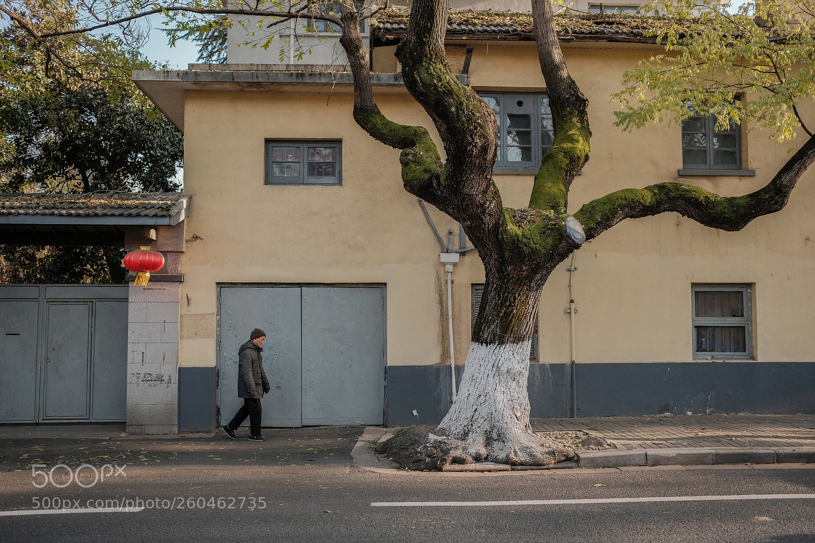 Fujifilm X-Pro2 sample photo. The old man and photography