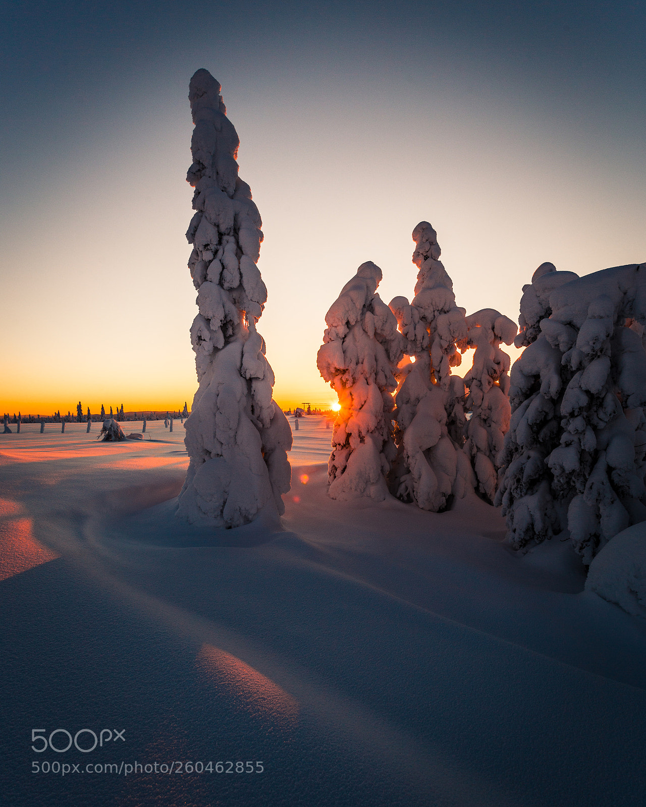 Canon EOS 6D sample photo. Winter sunset photography