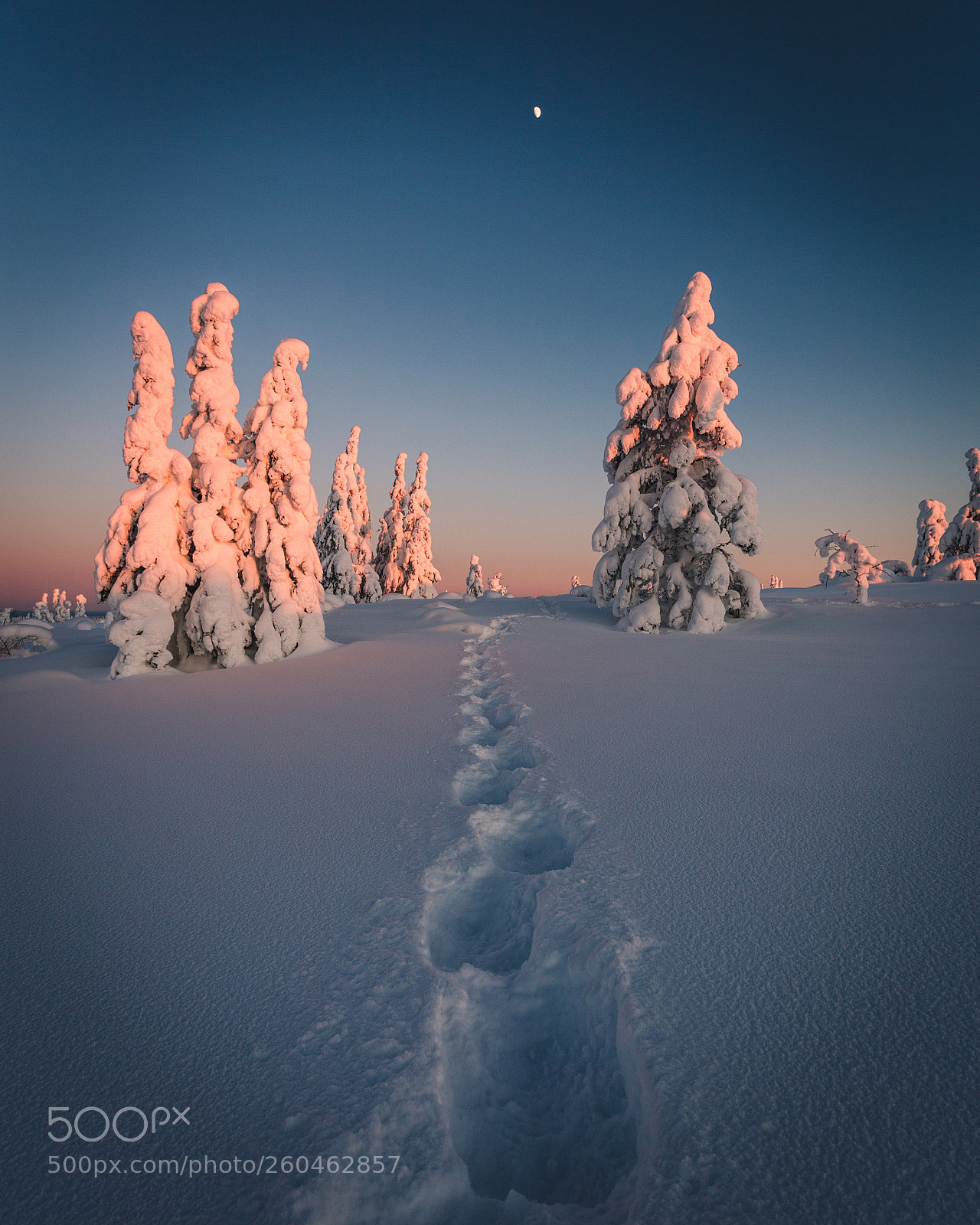 Canon EOS 6D sample photo. Walking in a winterdream photography