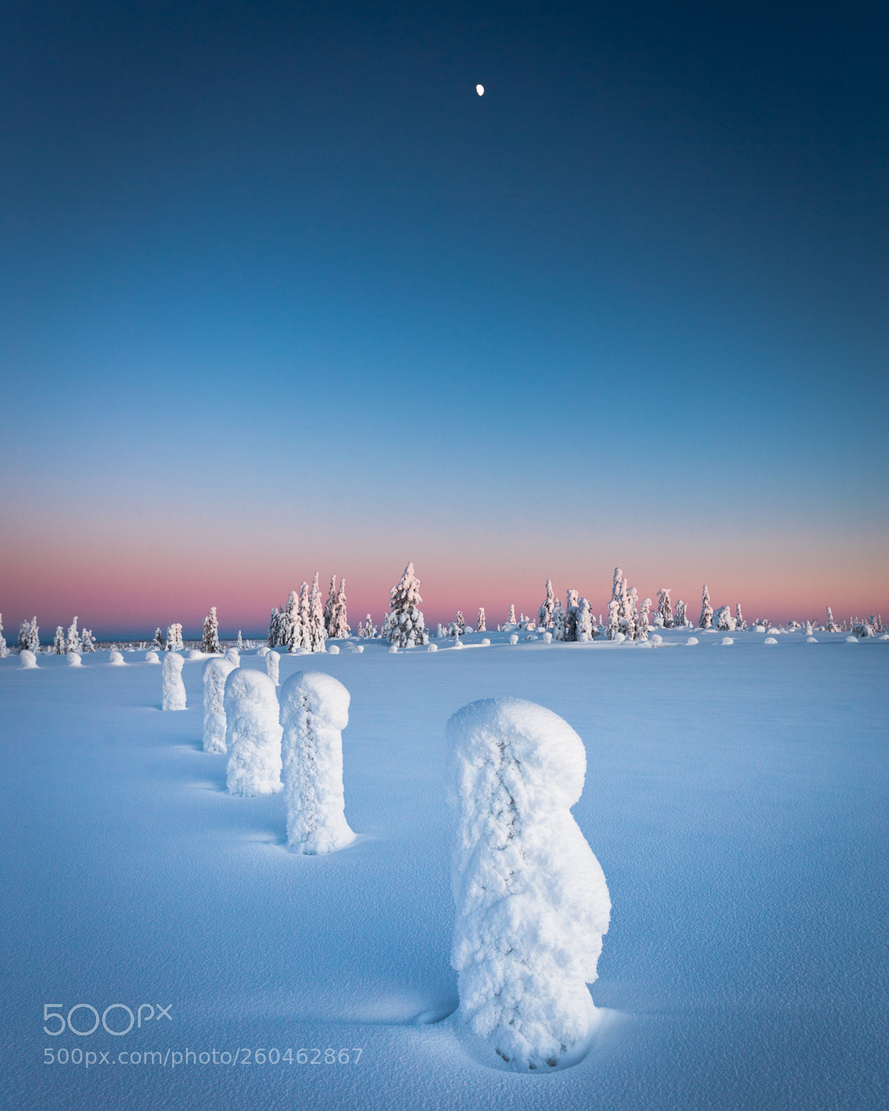Canon EOS 6D sample photo. Colors of the winter photography