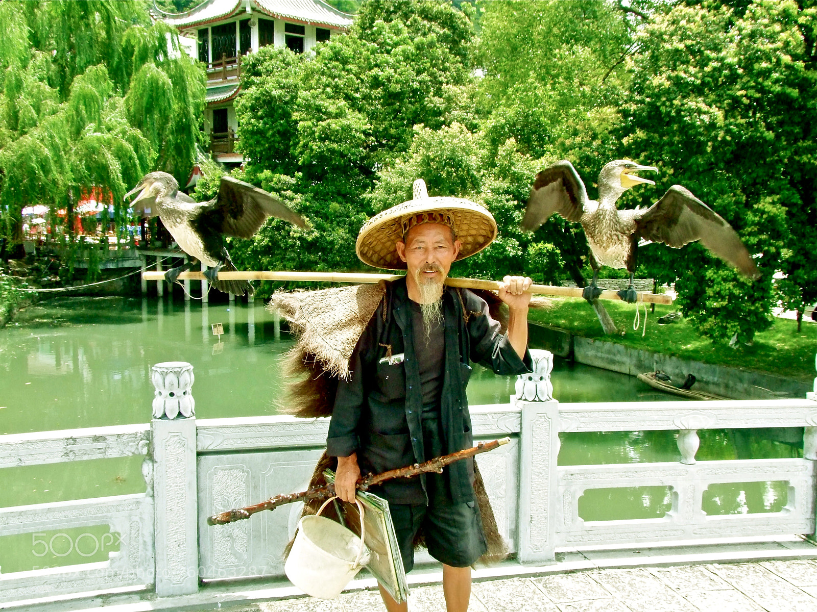 Fujifilm FinePix S100fs sample photo. Birdman photography