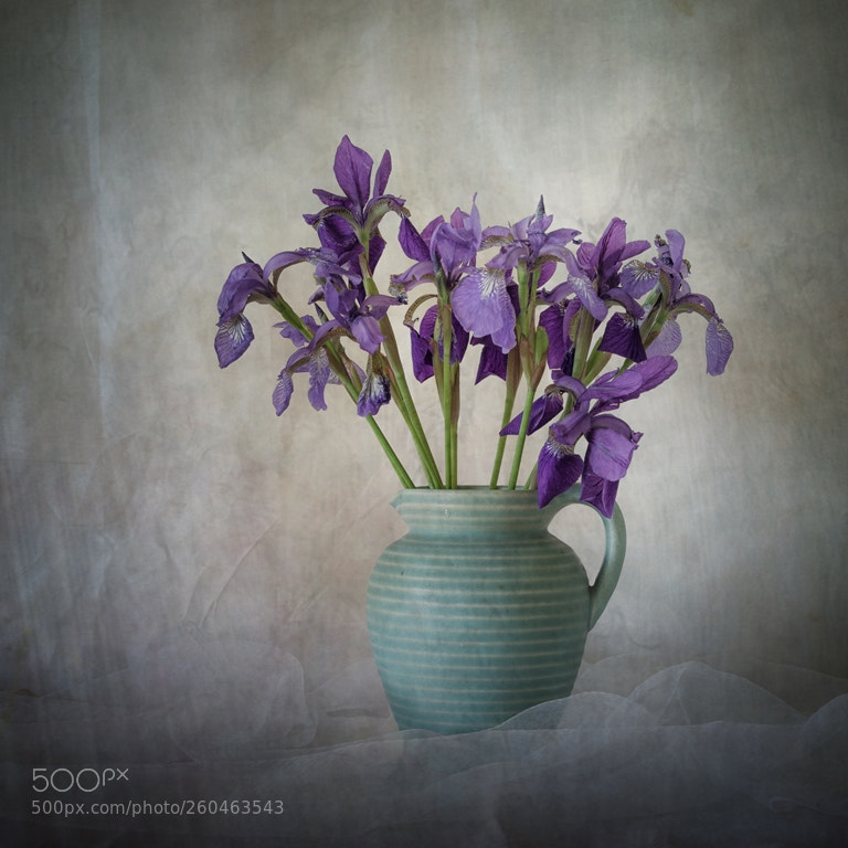 Pentax K-1 sample photo. Still life with irises photography