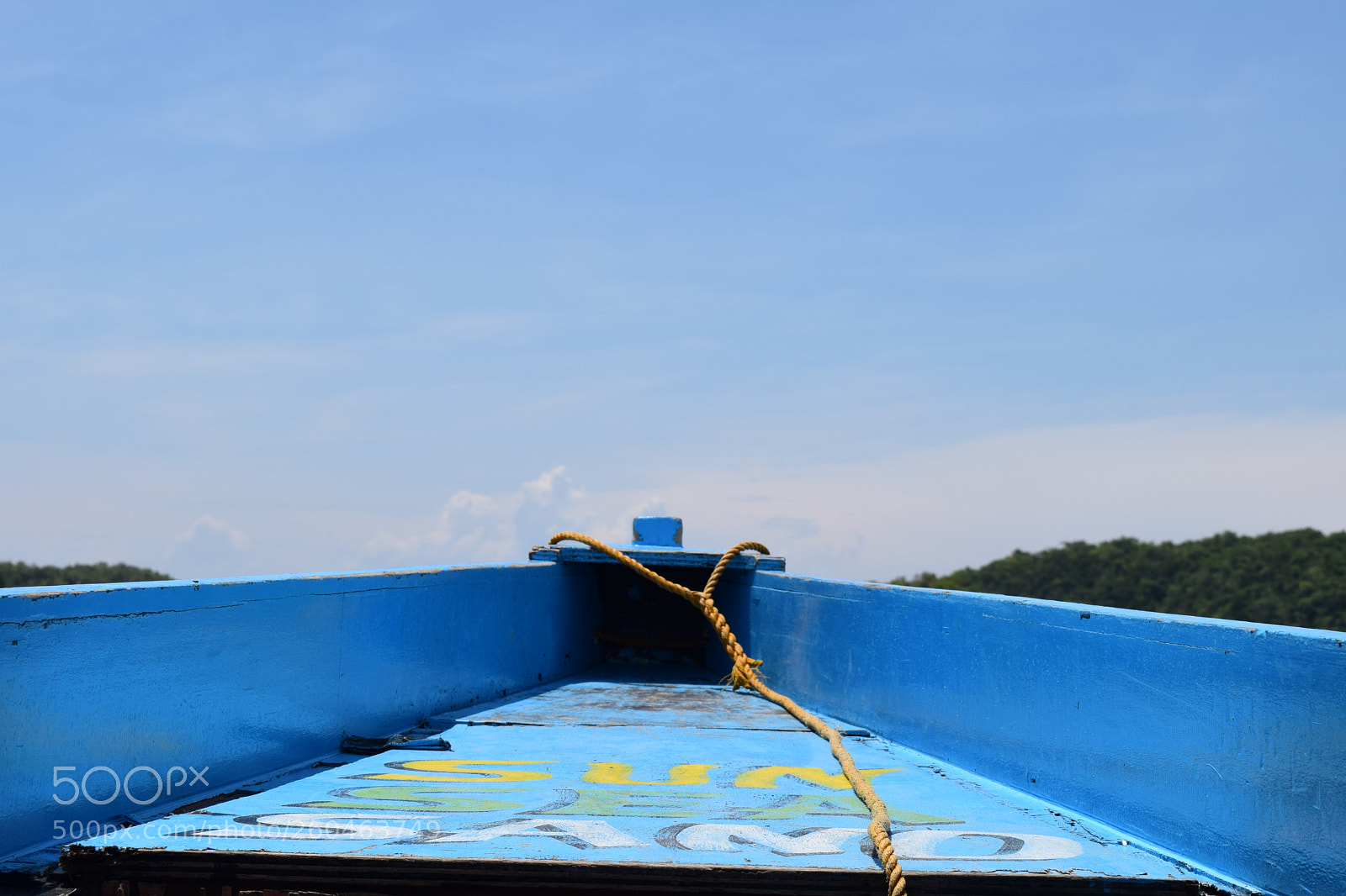 Nikon D5300 sample photo. Dsc photography
