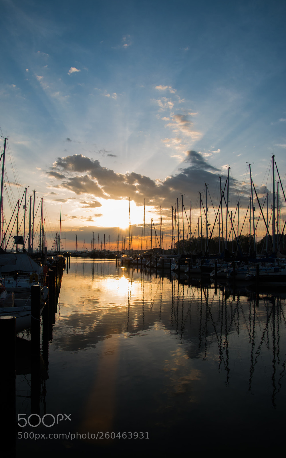 Nikon D5500 sample photo. Reflections photography