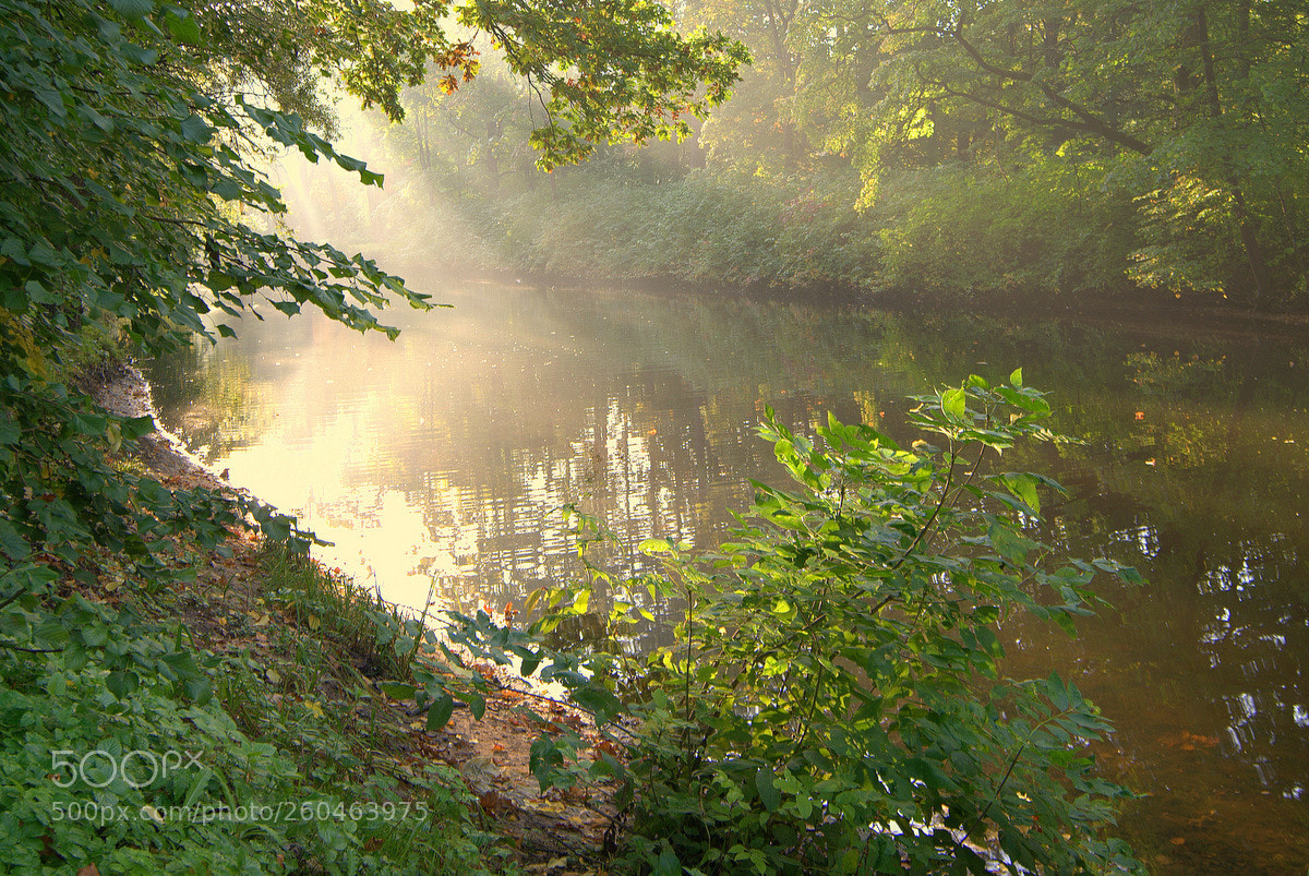 Nikon D200 sample photo. Утренний свет.. photography