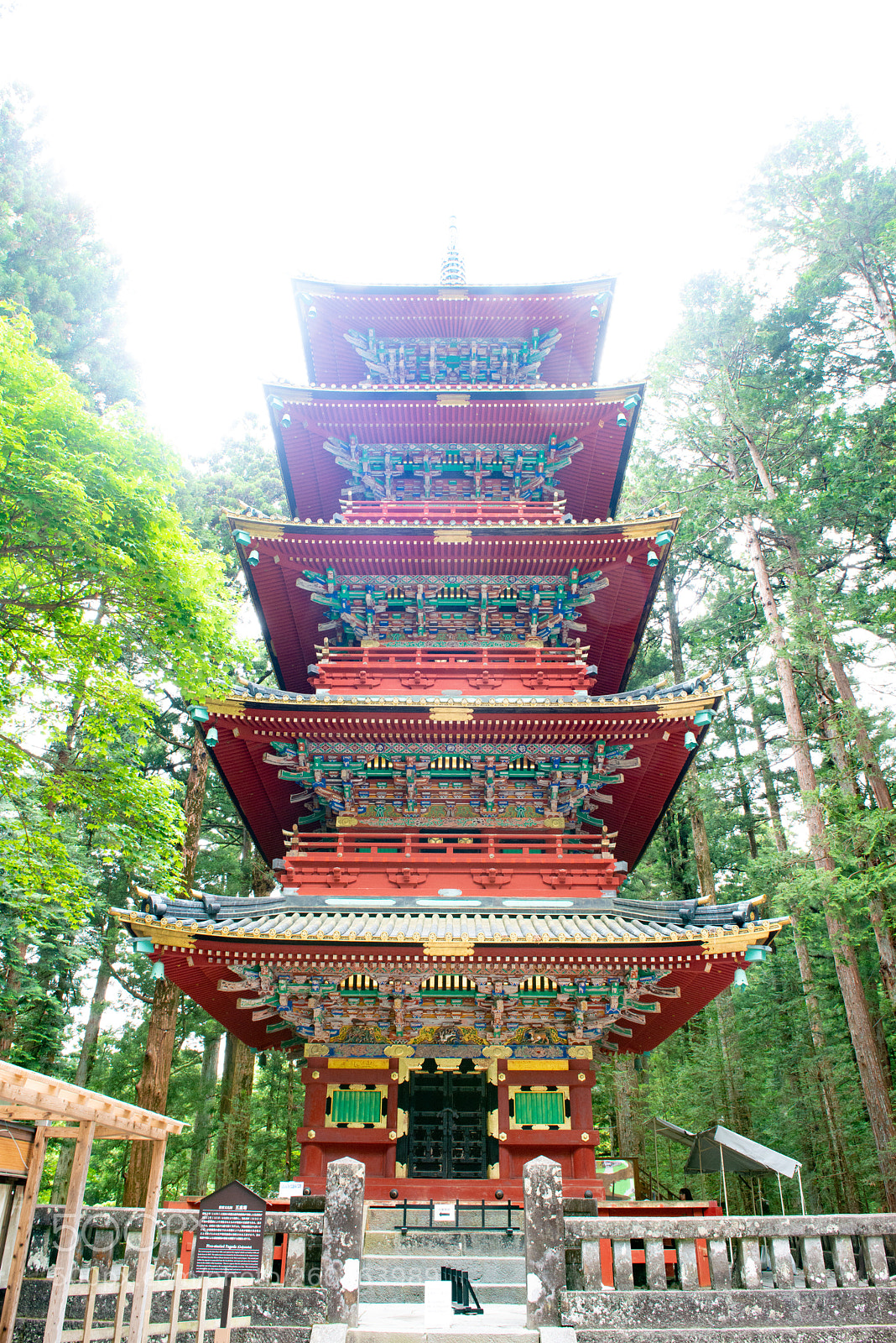 Nikon D800 sample photo. Nikko photography
