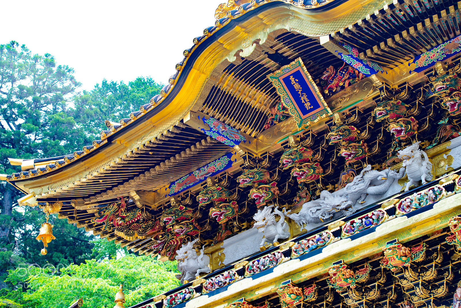 Nikon D800 sample photo. Nikko photography
