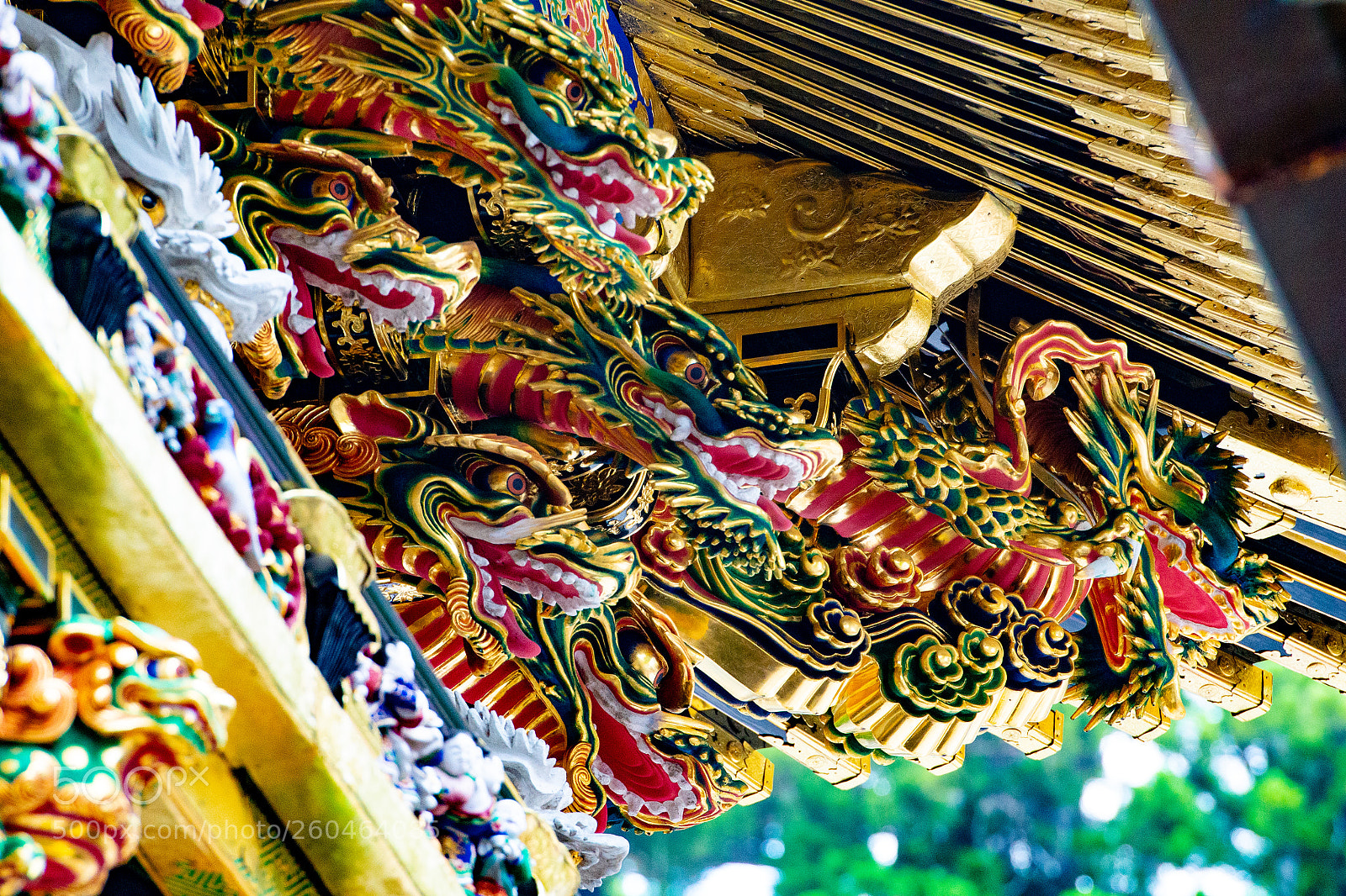 Nikon D800 sample photo. Nikko photography
