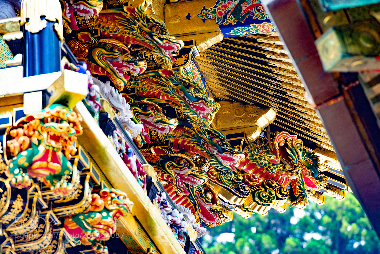 Nikon D800 sample photo. Nikko photography