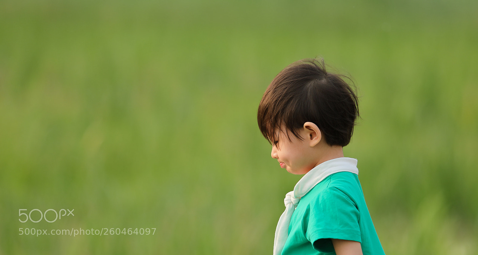 Canon EOS 5D Mark IV sample photo. 小小只 photography