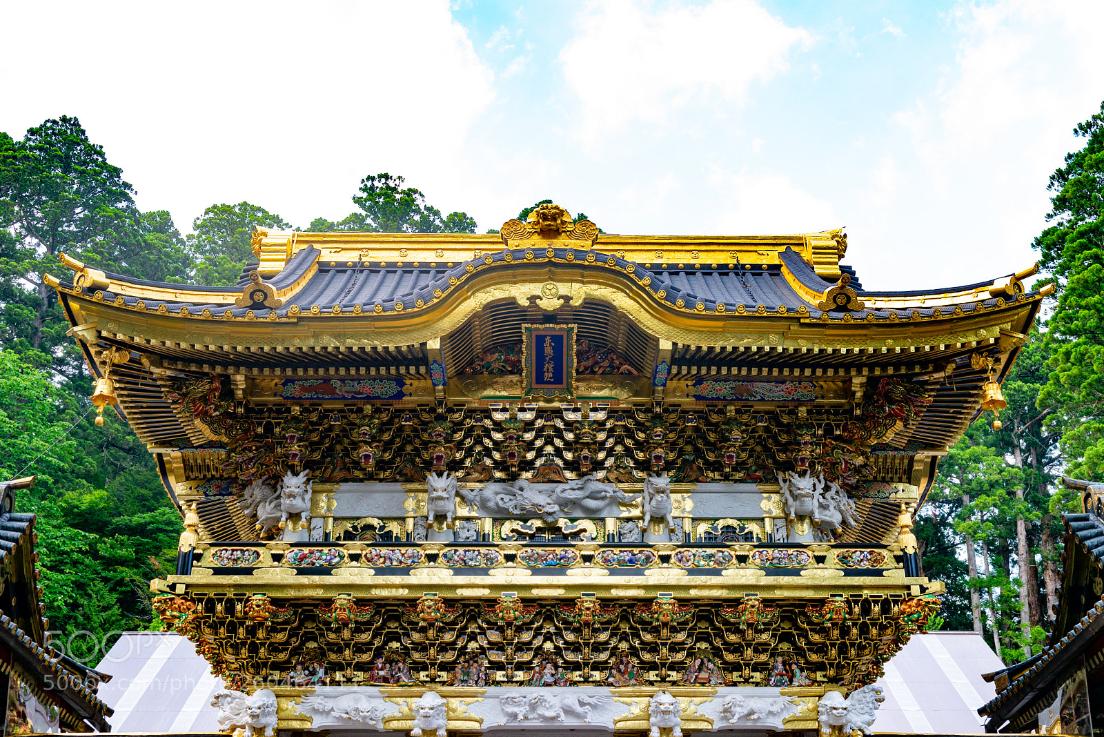 Nikon D800 sample photo. Nikko photography