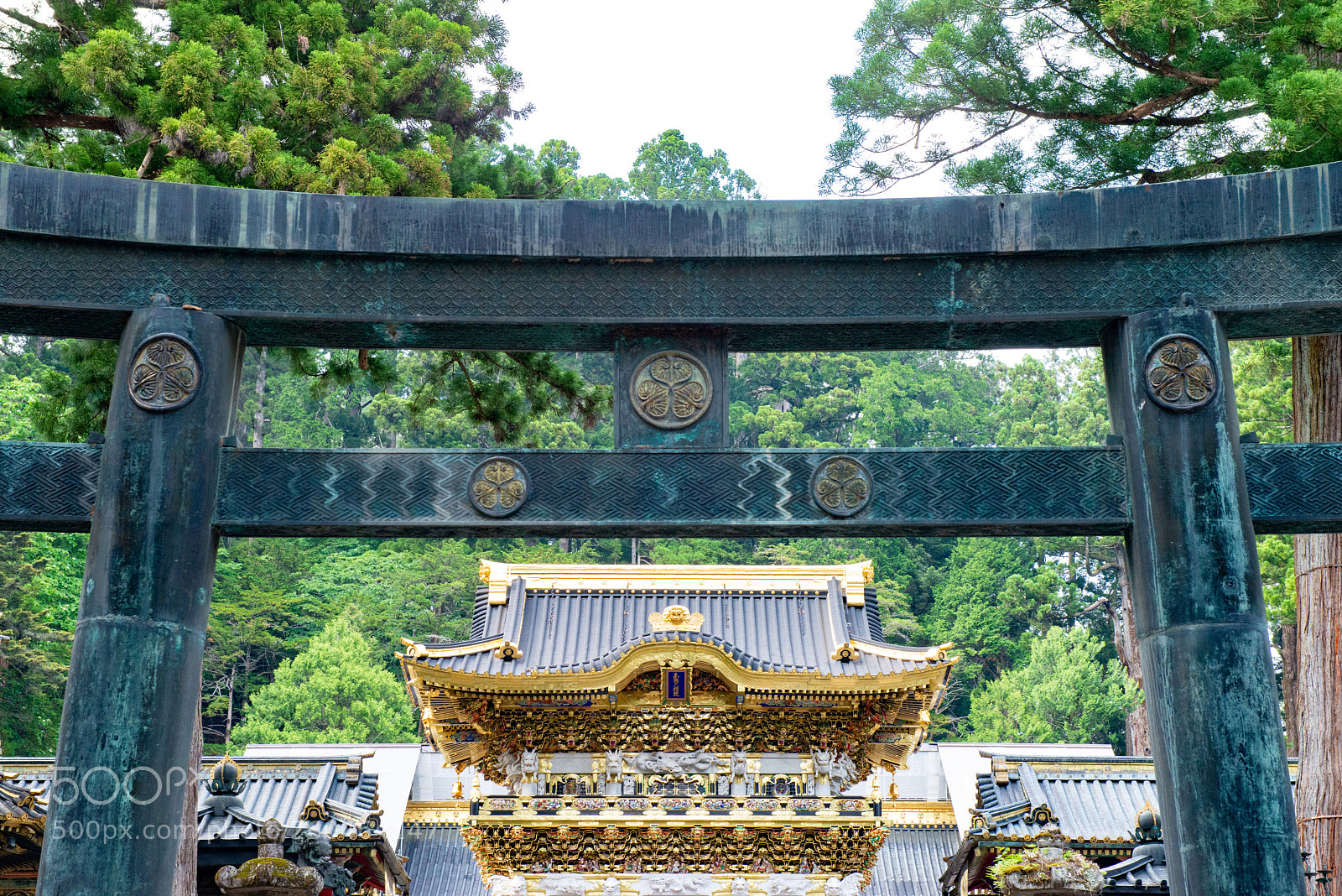 Nikon D800 sample photo. Nikko photography