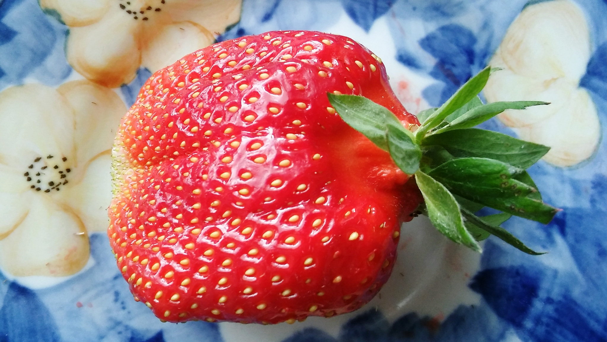 LG SPIRIT 4G LTE sample photo. Strawberry photography