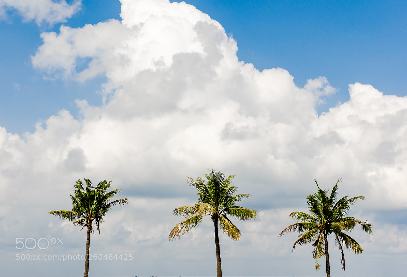 Nikon D5600 sample photo. Vietnam. the island of photography