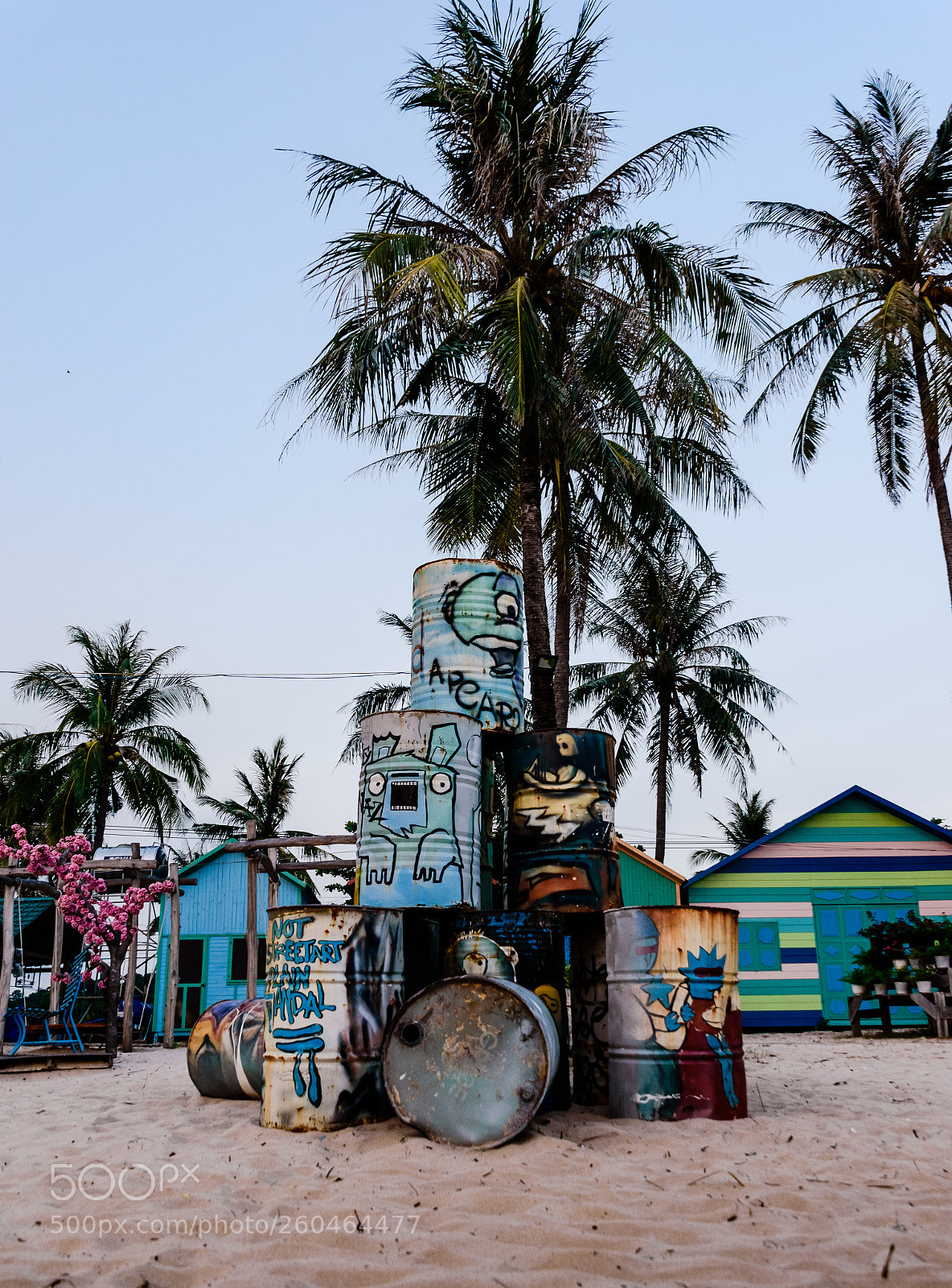 Nikon D5600 sample photo. Vietnam. the island of photography