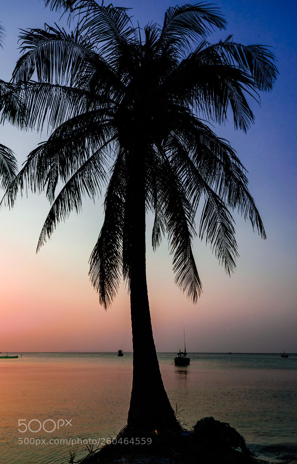 Nikon D5600 sample photo. Vietnam. the island of photography