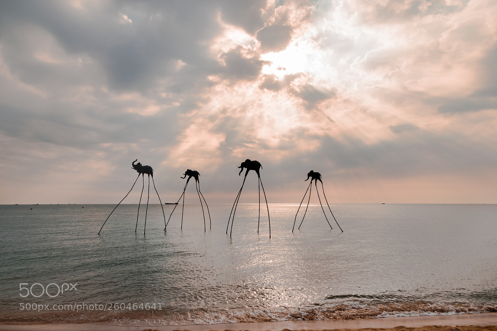Nikon D5600 sample photo. Vietnam. the island of photography