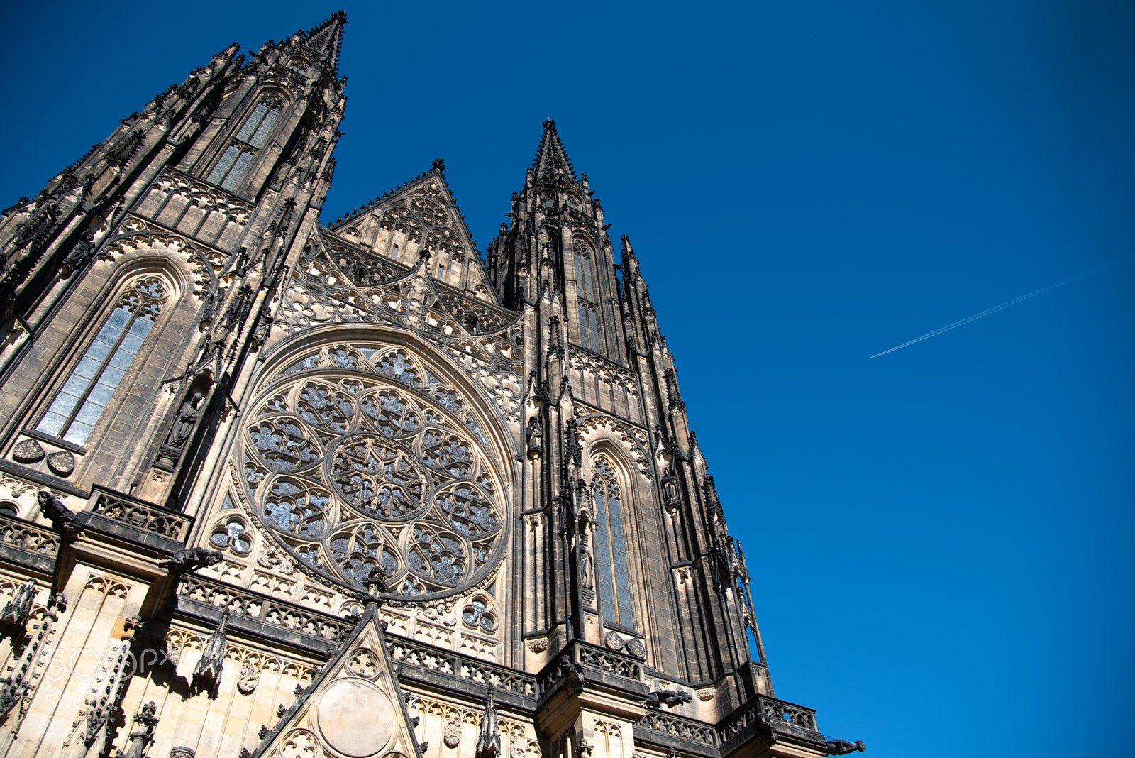 Nikon D750 sample photo. The metropolitan cathedral of photography