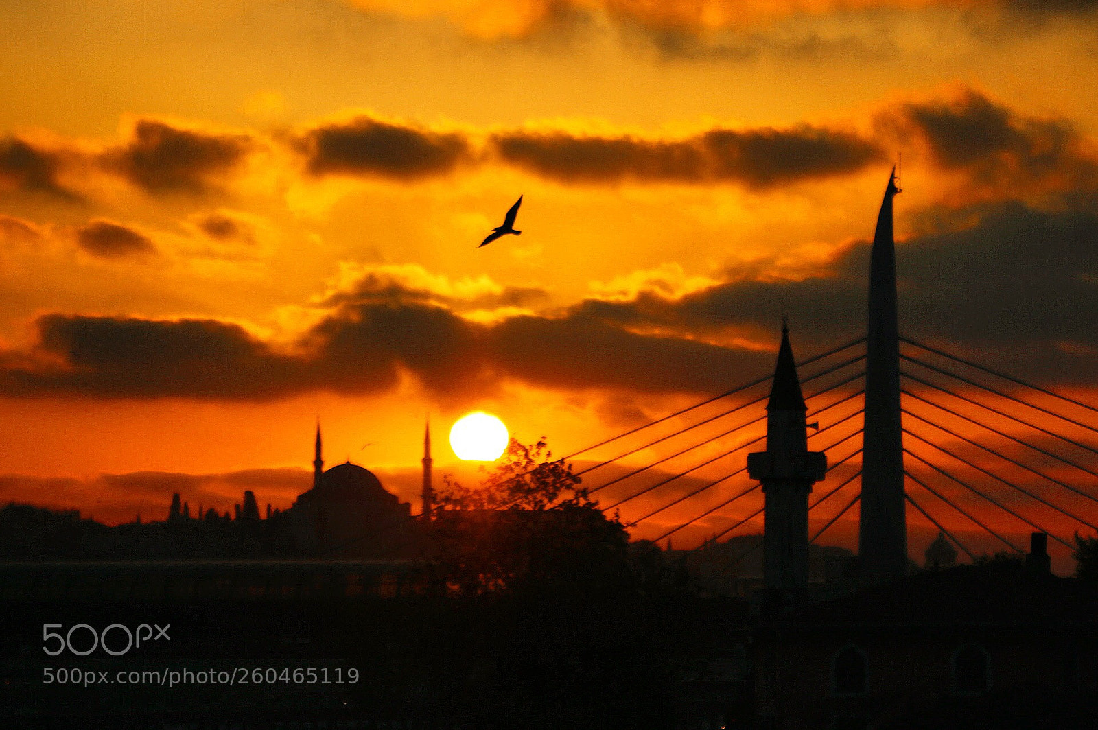 Canon EOS 70D sample photo. Istanbul  photography
