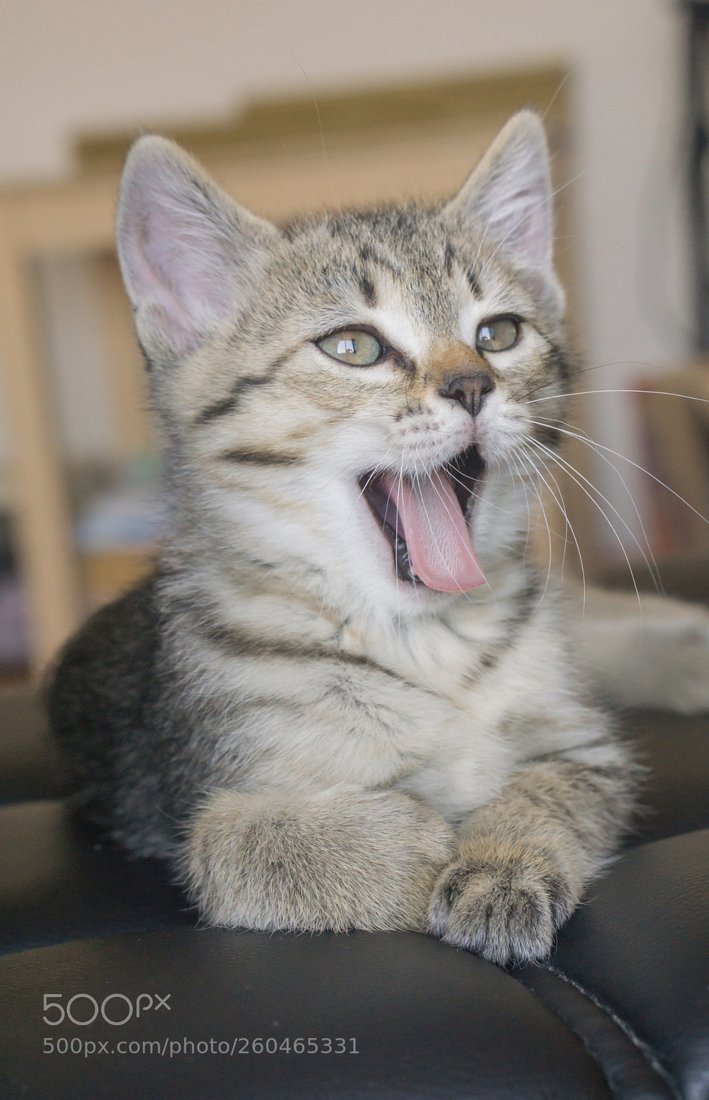 Sony a6000 sample photo. Taco #3 photography