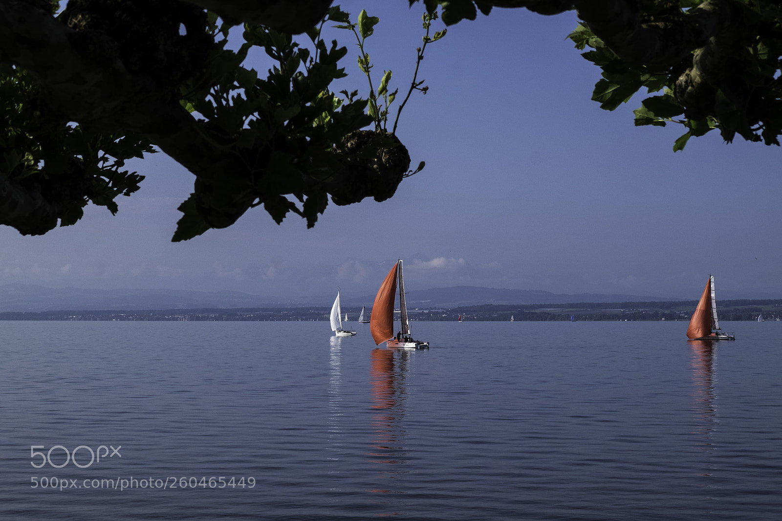 Fujifilm X-T1 sample photo. Rote regatta vor hagnau photography