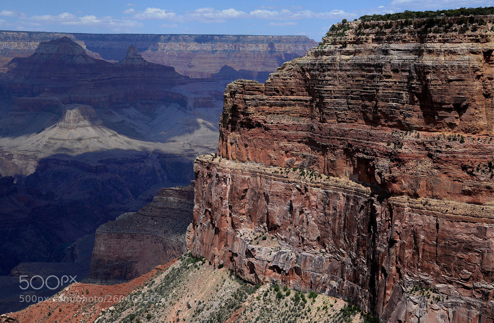 Nikon D610 sample photo. The grand canyon photography