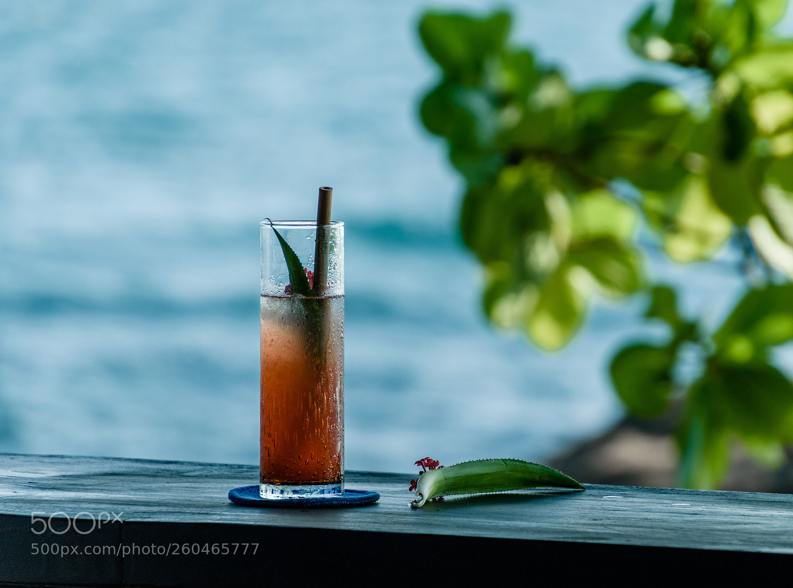 Nikon D5600 sample photo. Vietnam. the island of photography