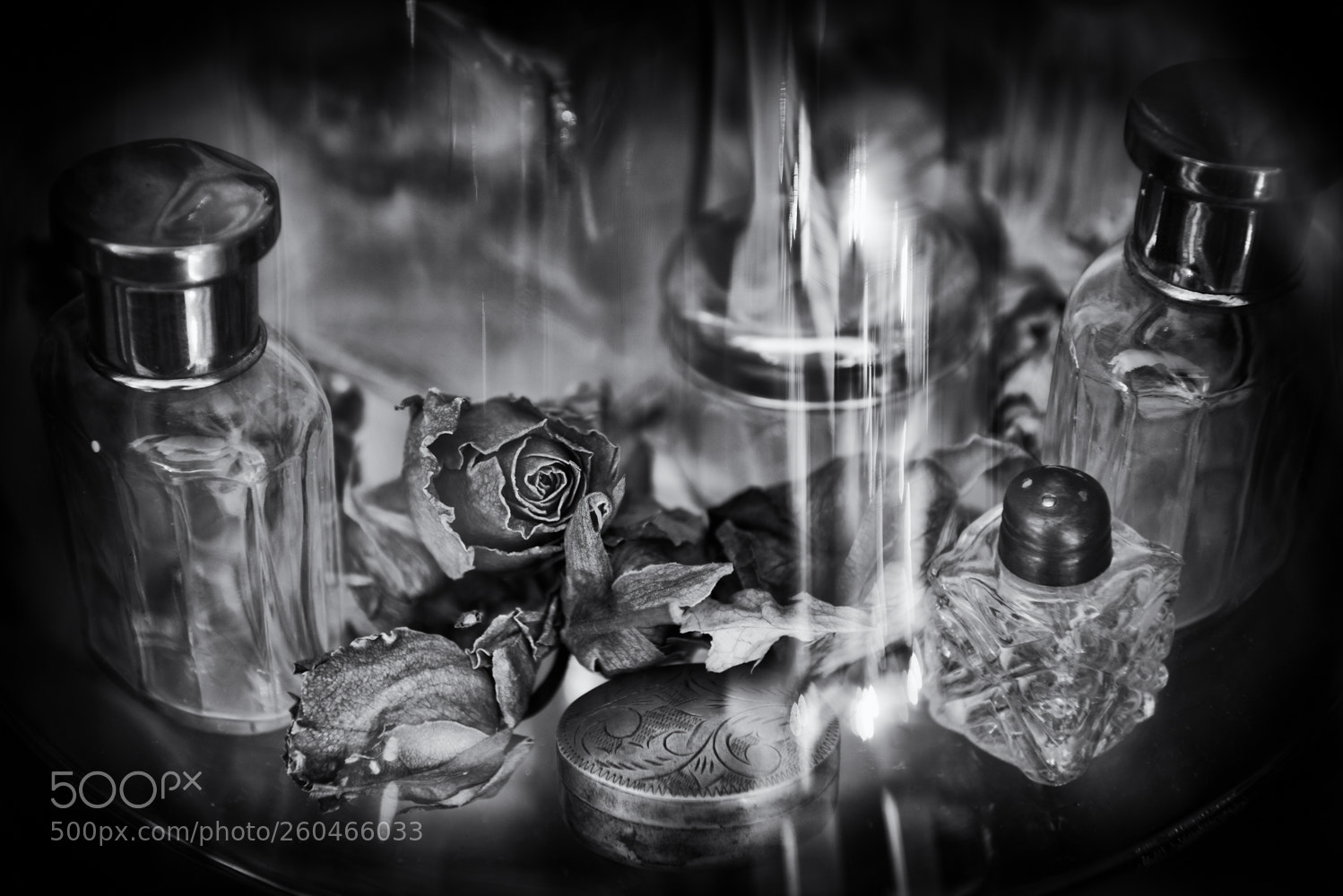 Nikon D810 sample photo. Vitrine photography