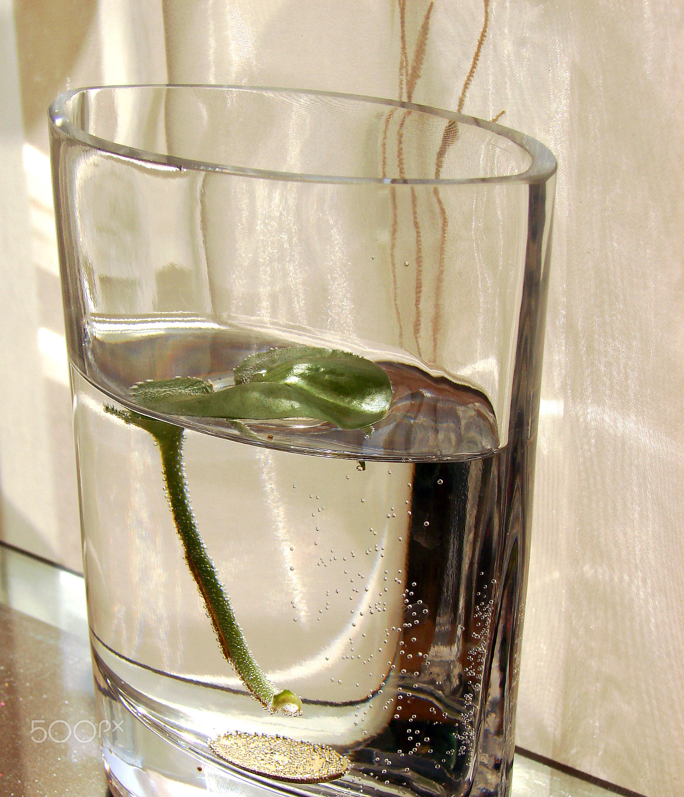 Sony DSC-H5 sample photo. The hanging life photography