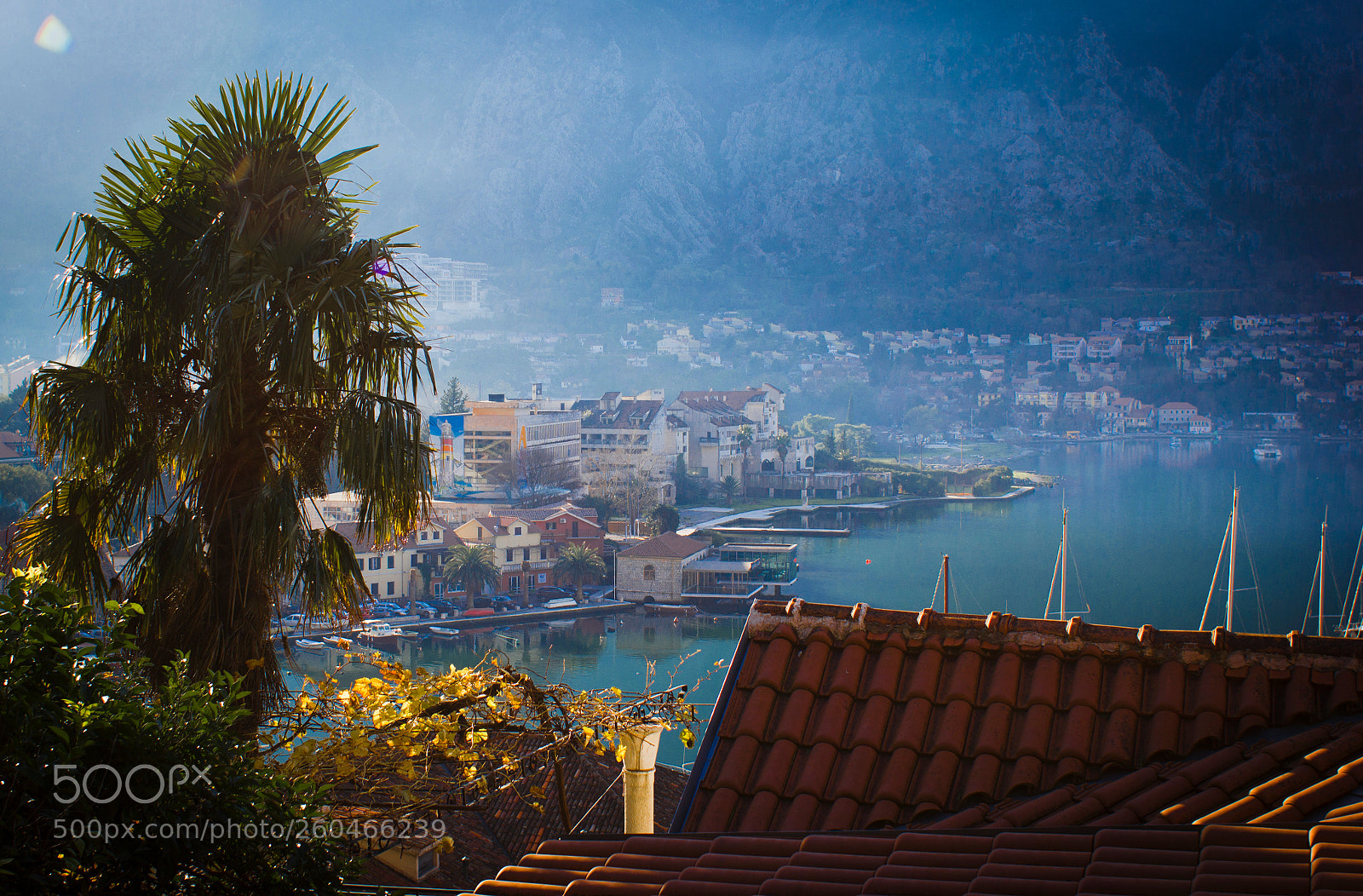 Canon EOS 550D (EOS Rebel T2i / EOS Kiss X4) sample photo. Kotor bay photography