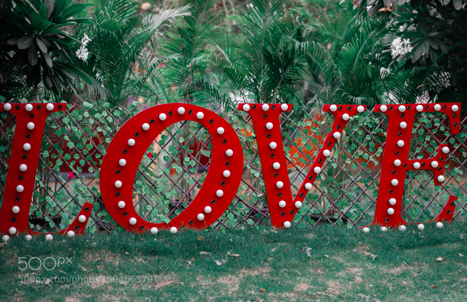 Sony a7R III sample photo. Big love letters, valentine's photography