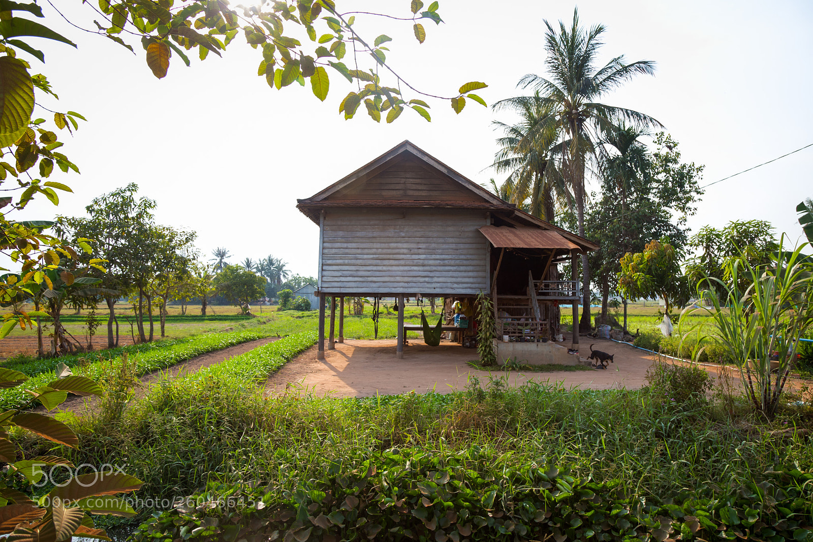 Canon EOS 6D Mark II sample photo. Cambodian traditional house in photography