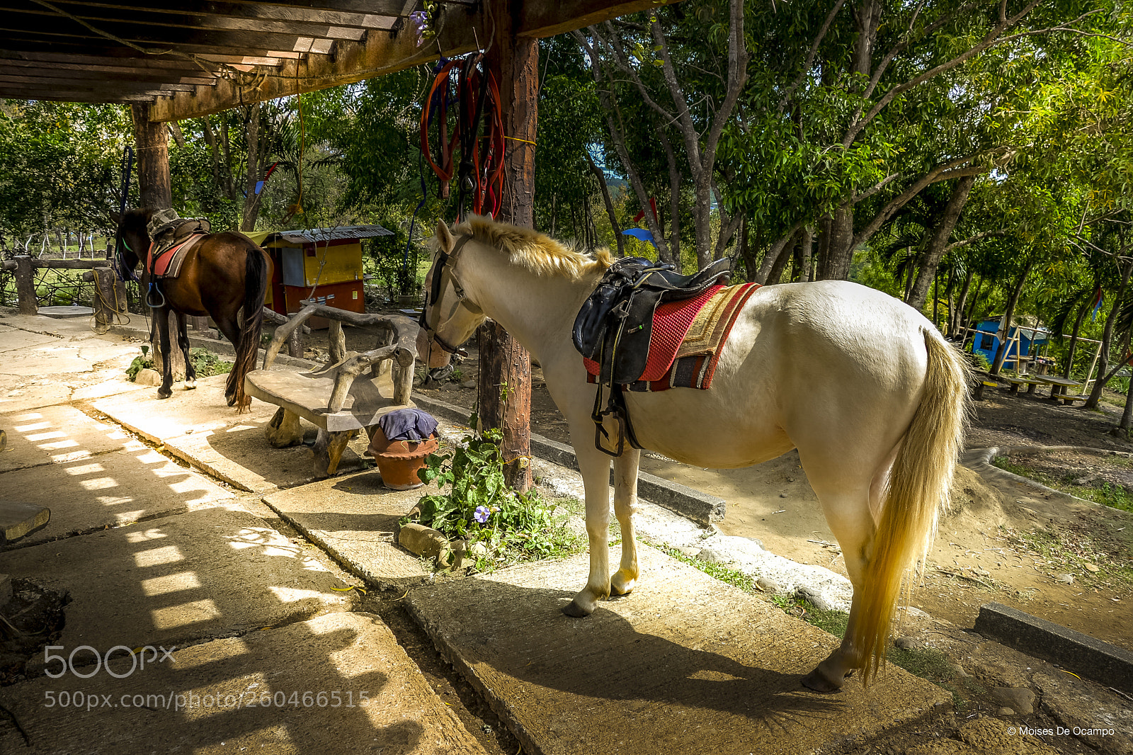 Nikon D610 sample photo. Marlboro country photography