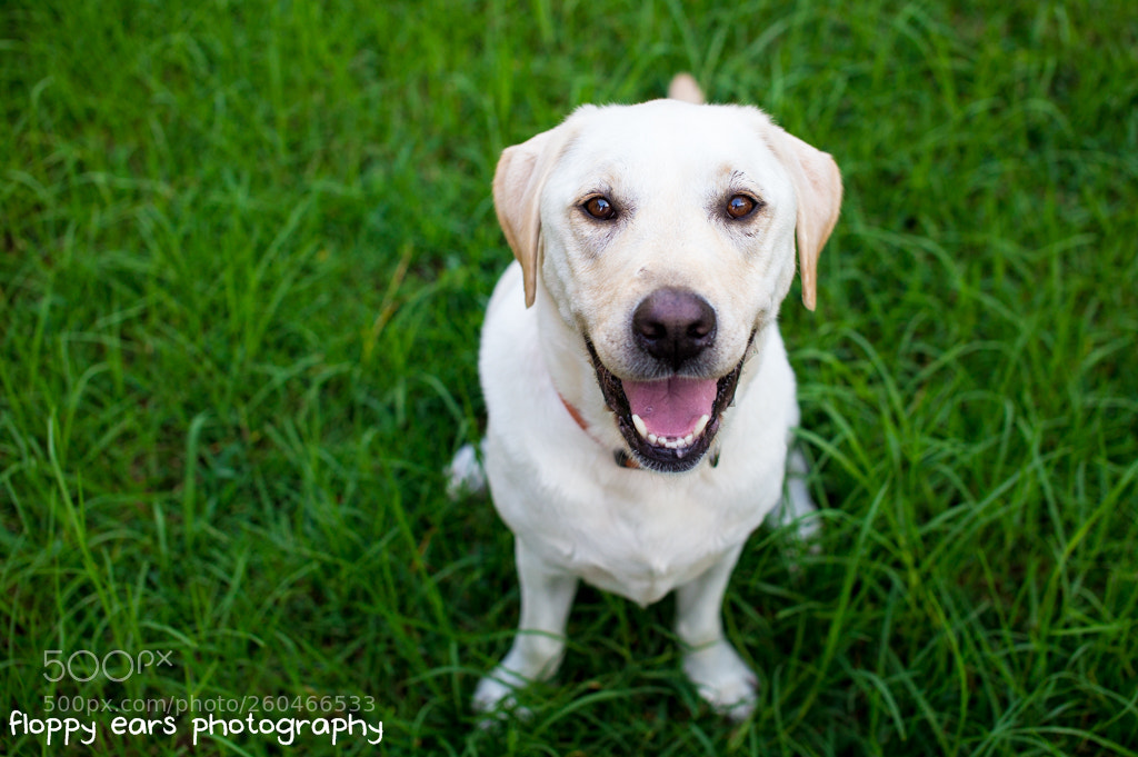 Canon EOS 6D sample photo. The time there was photography