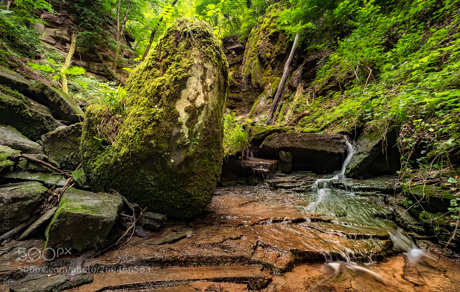 Fujifilm X-T1 sample photo. Wilde natur photography