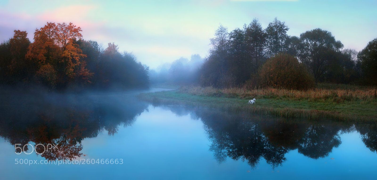 Canon EOS 50D sample photo. Nature, landscape, peterhof, pond photography