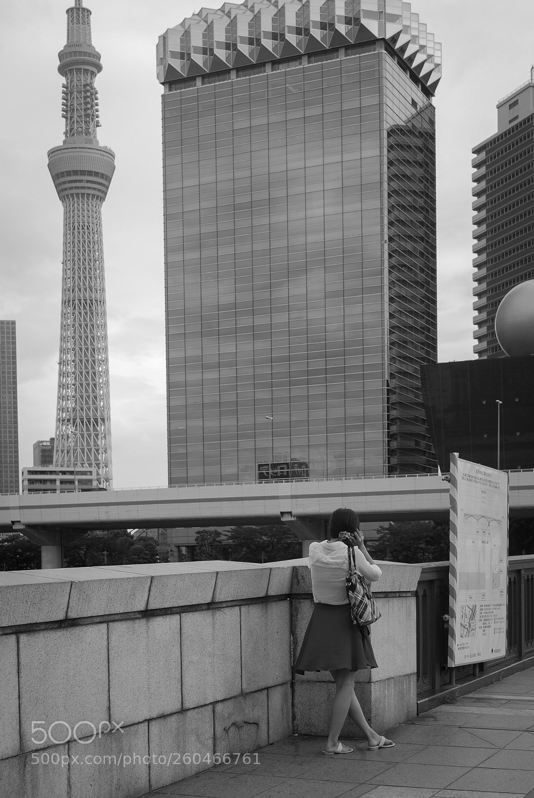 Nikon D60 sample photo. Calling photography