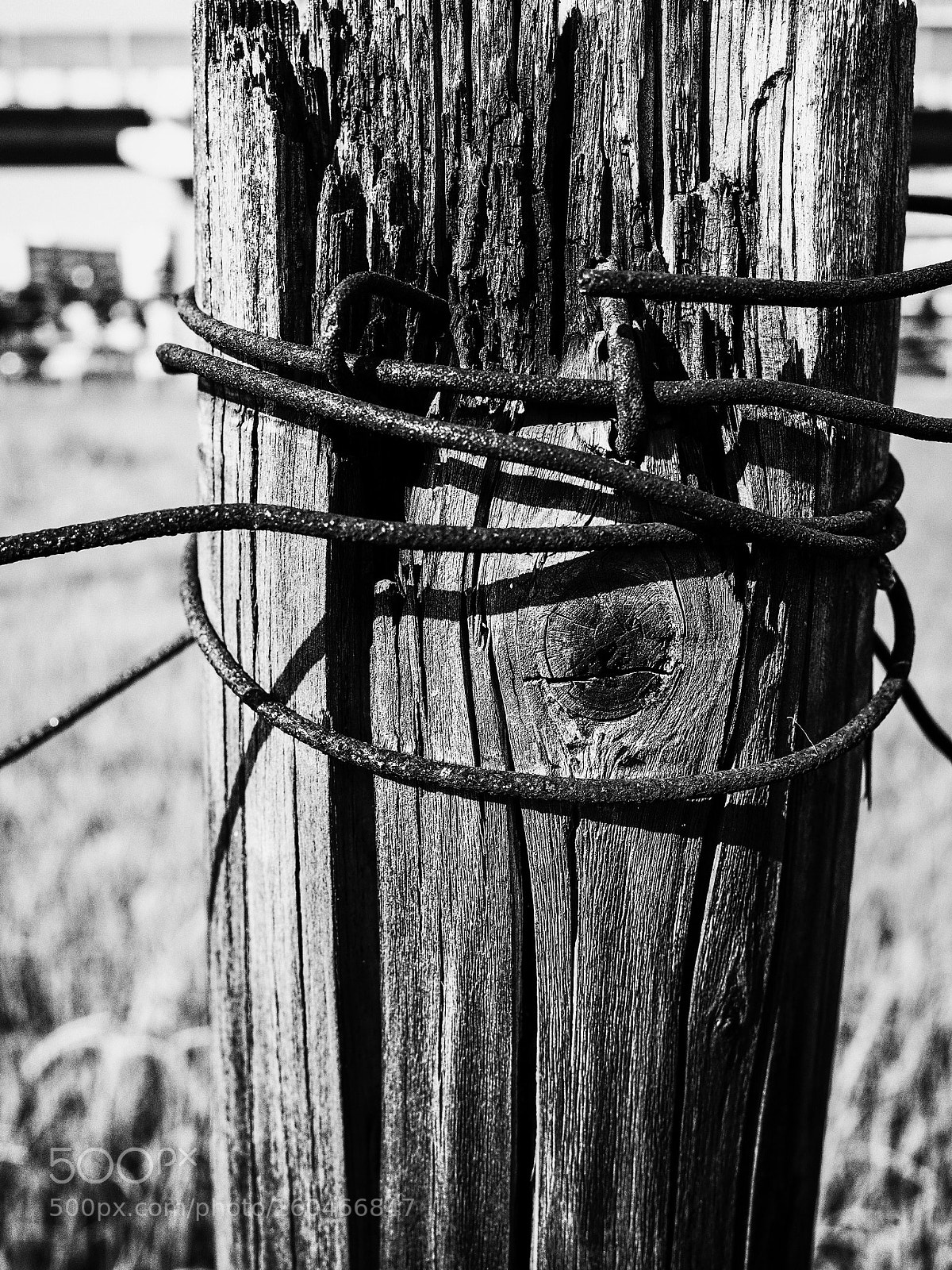 Ricoh GR II sample photo. Untitled photography