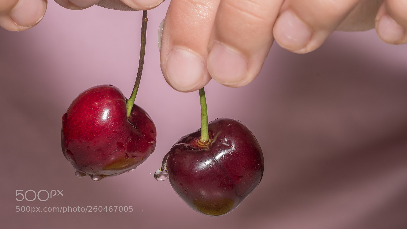 Nikon D500 sample photo. Isolated macro of cherry photography