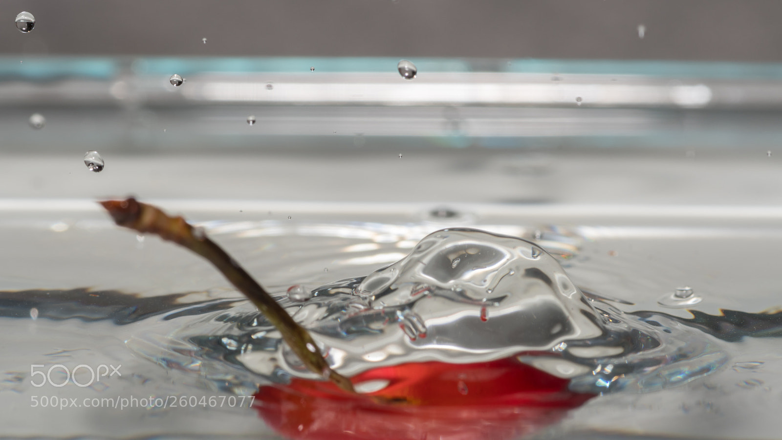 Nikon D500 sample photo. Isolate macro of red photography