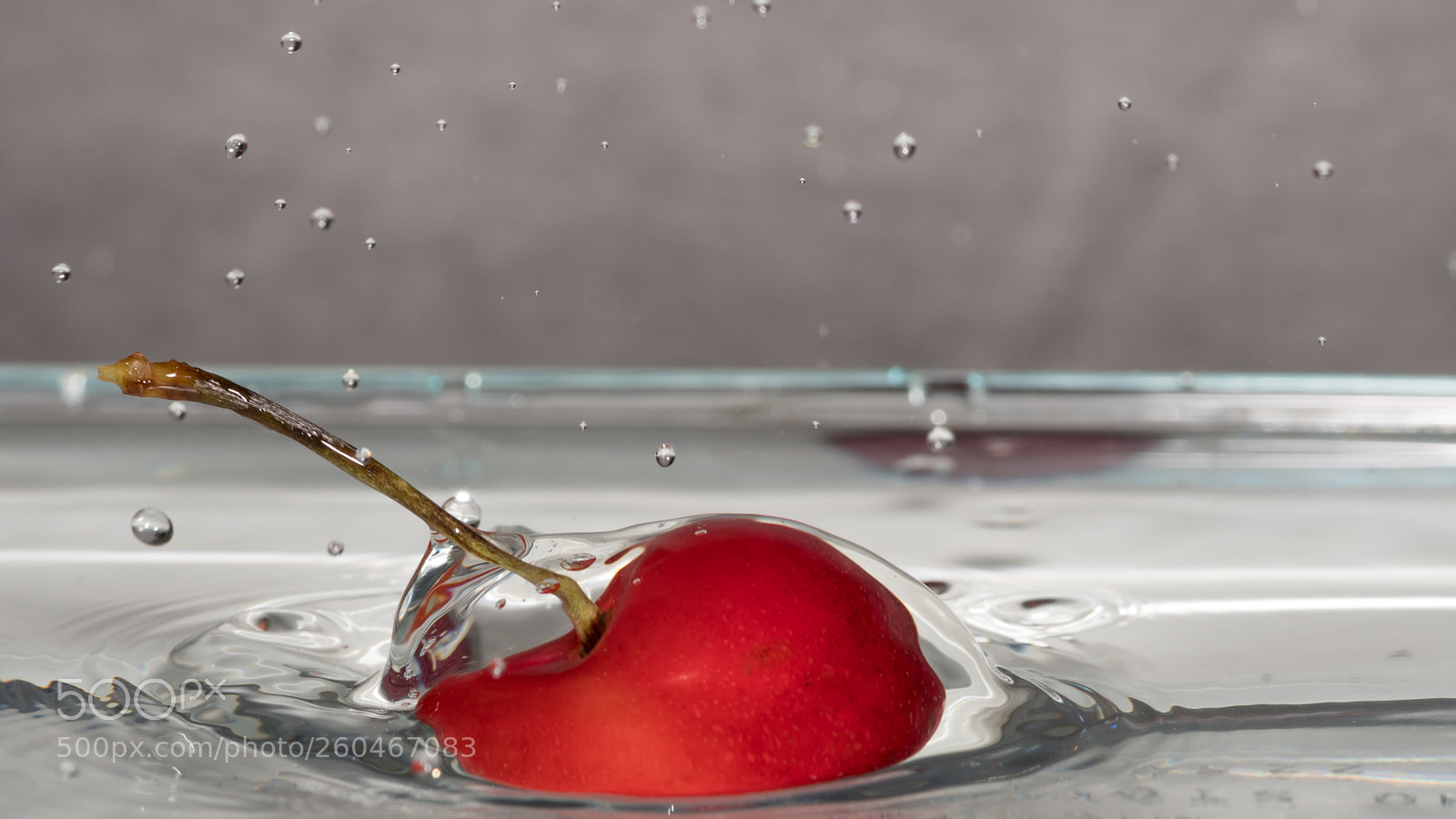 Nikon D500 sample photo. Isolate macro of red photography