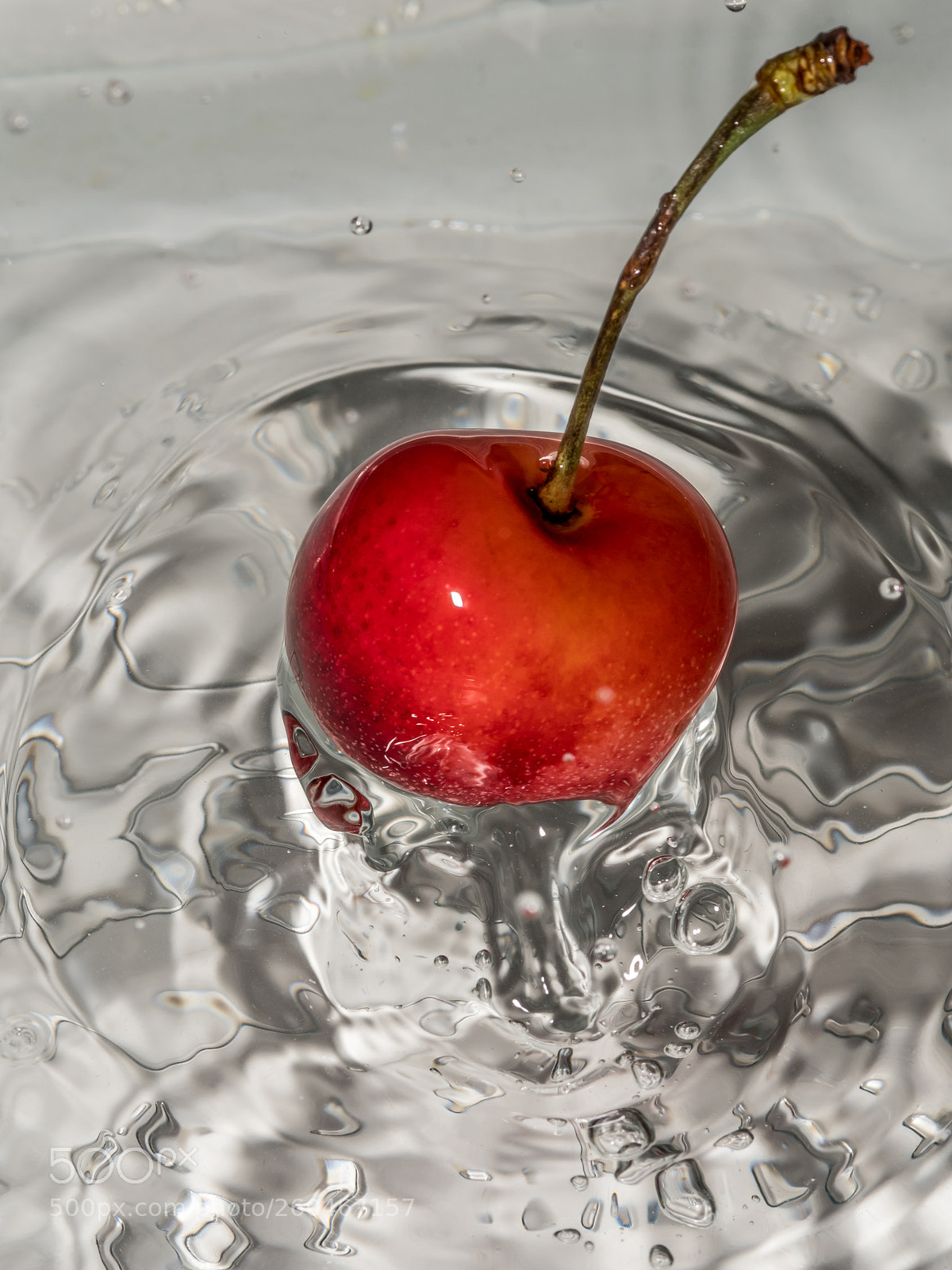Nikon D500 sample photo. Isolate macro of red photography