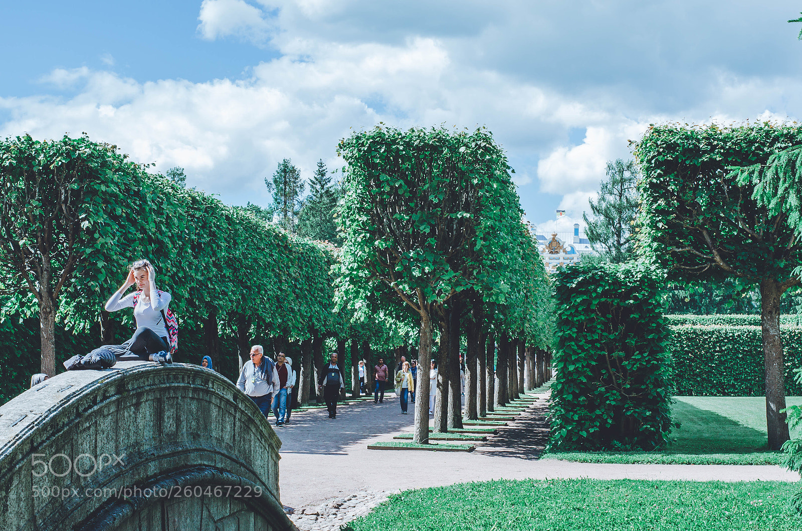Nikon D7000 sample photo. Green photography