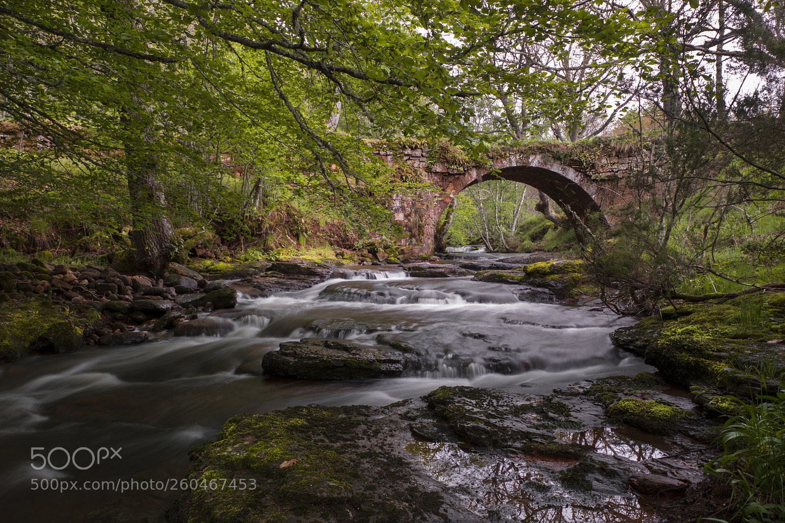 Fujifilm X-T2 sample photo. Puente rojadillo photography