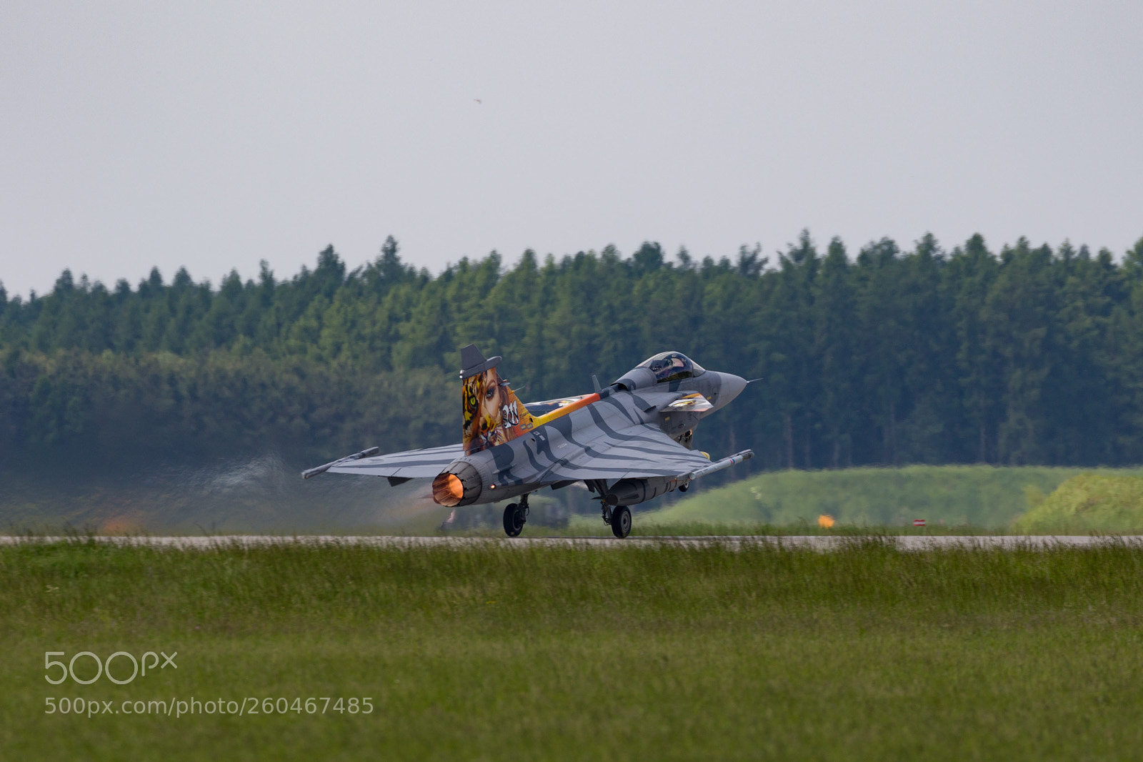 Canon EOS 7D Mark II sample photo. Gripen special tiger paint photography