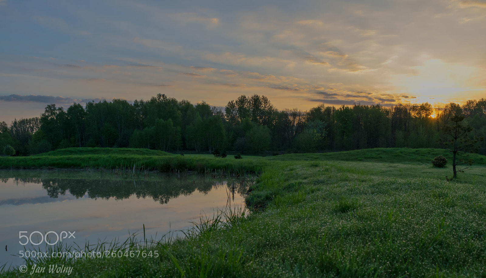 Nikon D3300 sample photo. With the morning dew photography
