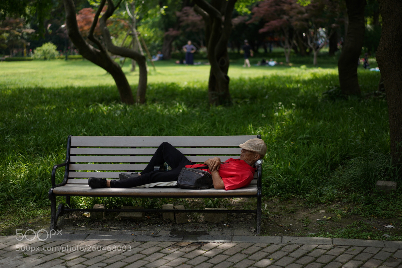 Sony a7 III sample photo. Untitled photography